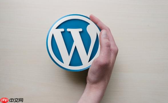 什么是WordPress的Excerpt？如何设置摘要？-1