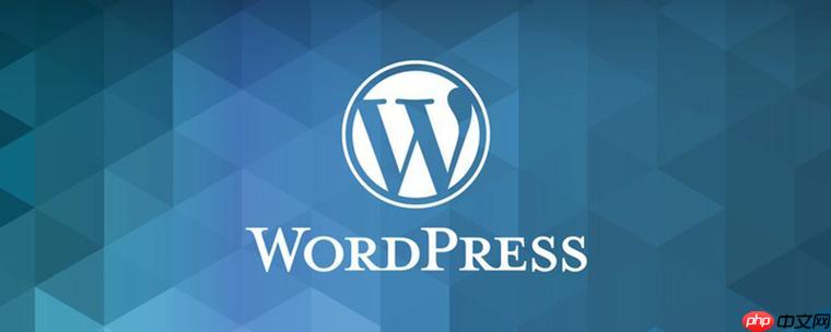 WordPress缓存是什么？怎样启用缓存插件？-1