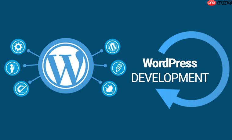 什么是WordPress主题选项？如何配置主题？-1