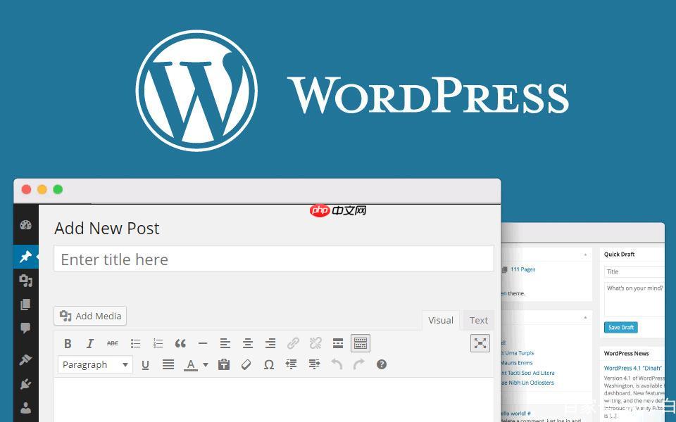 什么是WordPress AMP？如何启用AMP功能？-1