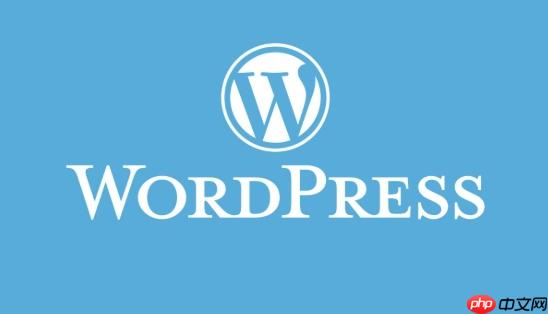 WordPress文章链接出现404错误怎么排查-1