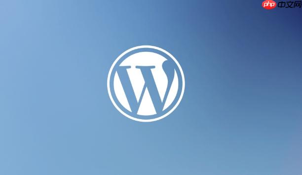 WordPress网站打开速度慢如何优化-1