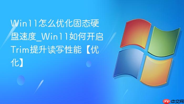Win11怎么优化固态硬盘速度_Win11如何开启Trim提升读写性能【优化】-1
