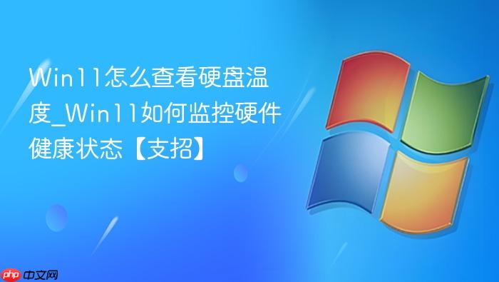 Win11怎么查看硬盘温度_Win11如何监控硬件健康状态【支招】-1