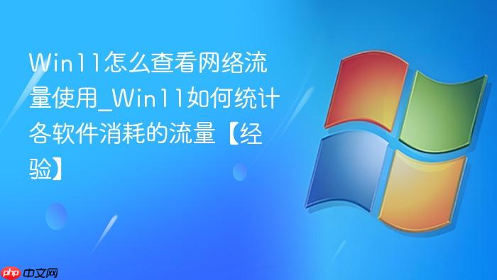 Win11怎么查看网络流量使用_Win11如何统计各软件消耗的流量【经验】-1