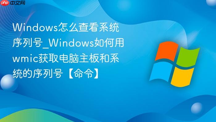 Windows怎么查看系统序列号_Windows如何用wmic获取电脑主板和系统的序列号【命令】-1