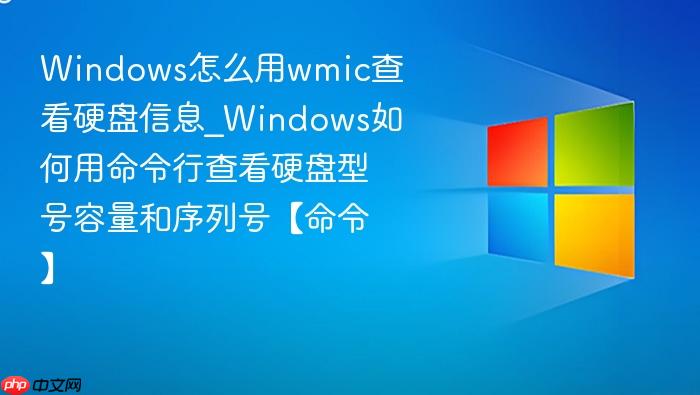 Windows怎么用wmic查看硬盘信息_Windows如何用命令行查看硬盘型号容量和序列号【命令】-1