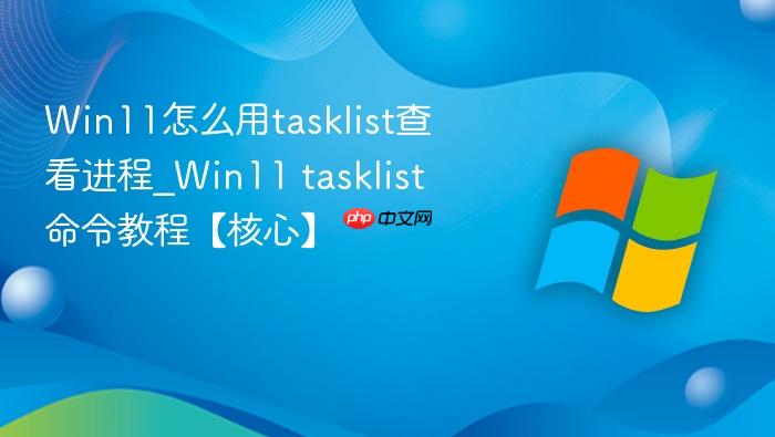 Win11怎么用tasklist查看进程_Win11 tasklist命令教程【核心】-1