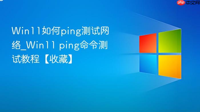 Win11如何ping测试网络_Win11 ping命令测试教程【收藏】-1