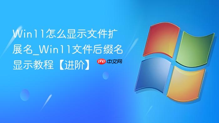 Win11怎么显示文件扩展名_Win11文件后缀名显示教程【进阶】-1